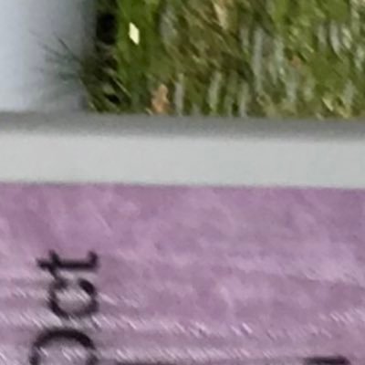 JohnGar30824576's profile picture. 