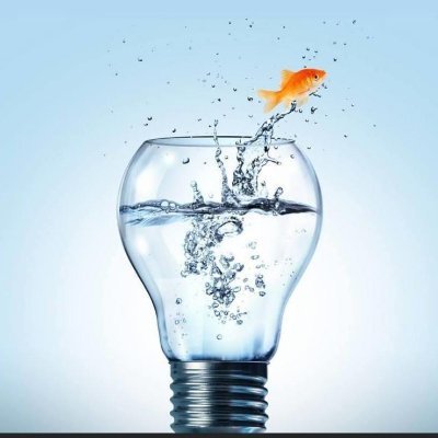 LawWoodstock's profile picture. A niche property law firm providing expert property legal services. We pride ourselves on being approachable, straight forward and responsive.