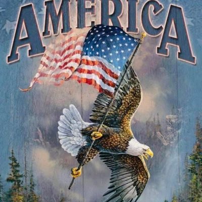 I am a Patriotic American I love my President Trump and my Country. /