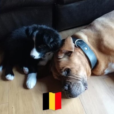 Je suis ici pour me faire de nouvelle connaissance si https://t.co/a9fCos8XFq suis aussi sincère et franc dans mes dits