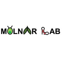 Molnar Lab(@molnar_lab) 's Twitter Profile Photo