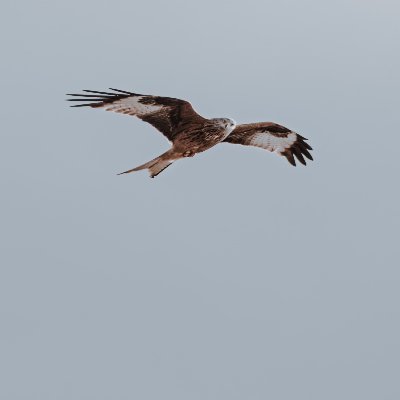 NwosuAdaobiO's profile picture. Be ye therefore perfect, even as your Father which is in heaven is perfect