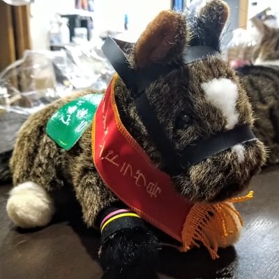 shokiho's profile picture. ユニオン、キャロット、広尾で一口馬主迷走中
※広尾は2022年退会