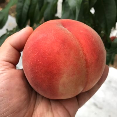 _hiro_kkiy_b2d's profile picture. 双極性障害Ⅱ型・ADHD併存の40代男 LGBTのG ゲイ🏳️‍🌈です。手帳2級。グループホームで暮らしています。同じ病気の人と情報を共有したいです。どうぞよろしくお願いします。