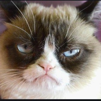 SplishS67274627's profile picture. Splish Splash