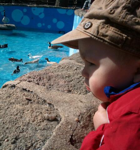 Beaner484's profile picture. 