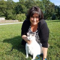 tuckerkim (@tuckerkim) 's Twitter Profile