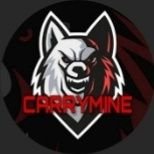 ig_carrymine's profile picture. Carrymine