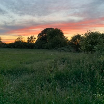 Patsgang's profile picture. I love animals,my five pugs,reading,music my friends and country life, a great Take That fan Gary is my number one and he followed me on 5th October 14.