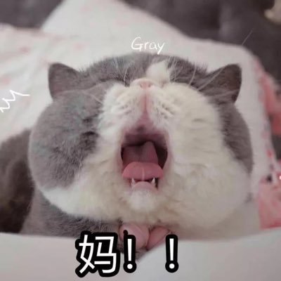 a13758635345's profile picture. 