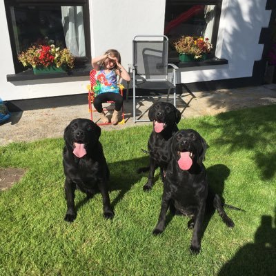 stevey7777's profile picture. Liverpool fan Labrador fan, from Derry heart always in Creggan