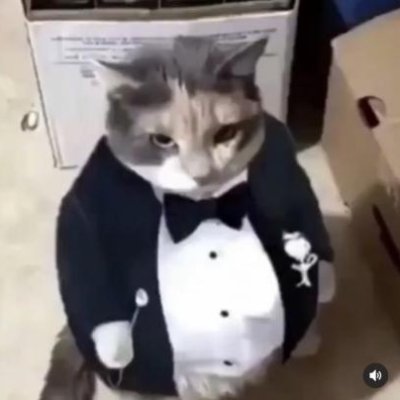 Slight95049718's profile picture. https://t.co/pW5096nzeC