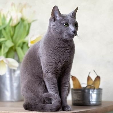 ubimishov's profile picture. 