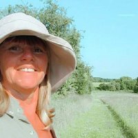 Botany Bees (@botanybees) 's Twitter Profile