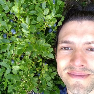 winobes's profile picture. linguistics, board games, etc. all opinions are polyvocal. he/him