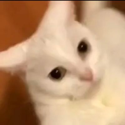 _monty_8's profile picture. 