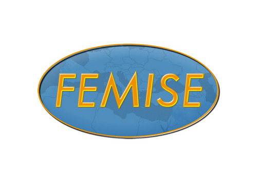 femisenetwork Profile Picture