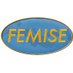 FEMISE Network (@femisenetwork) Twitter profile photo