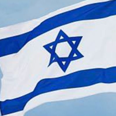 DigitalIsraeli's profile picture. 