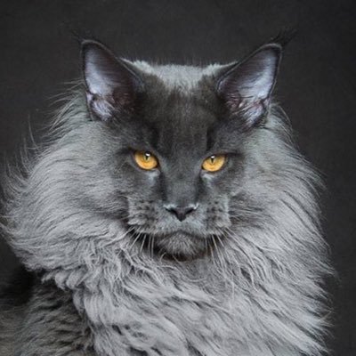 KDAM1980's profile picture. متابع لأسواق المال و تكنولوجيا المعلومات. اعشق القهوة، احب التصوير.