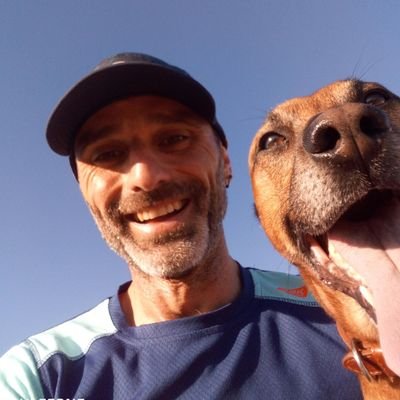 JosviMontaner's profile picture. 