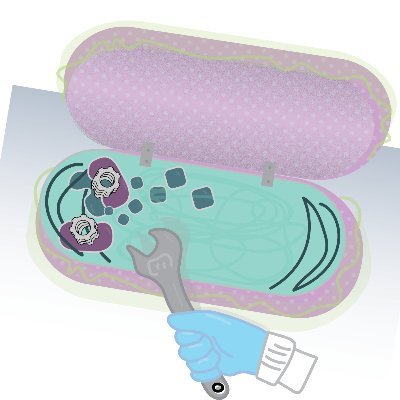 We apply biochemistry, synthetic biology, and chemical biology to study how phase separation organizes the bacterial cytoplasm and how bacteria make decisions.