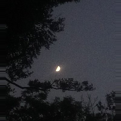 isyou_pp's profile picture. 