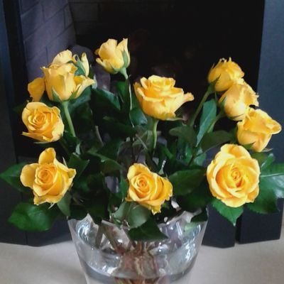 @janbrook6