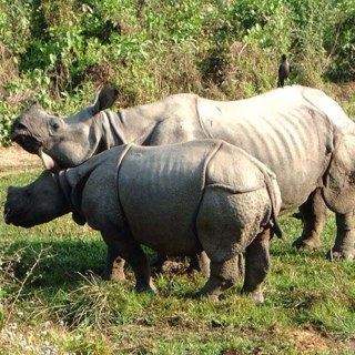 y_princemen's profile picture. てぃ～ぼらをん