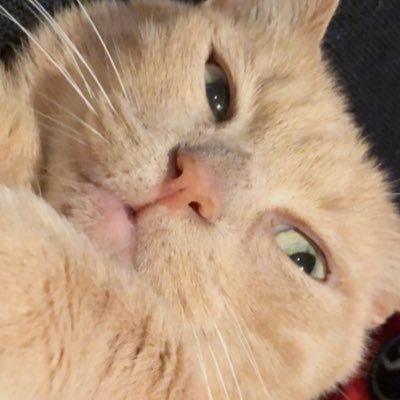naggarythe's profile picture. 