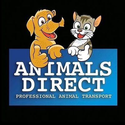 Director at Animals Direct Limited 🐶😺
Professional Animal transporter
https://t.co/xiNGosQEaQ