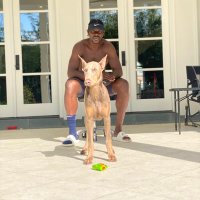 Jrue Holiday (@jrue_holiday11) 's Twitter Profile