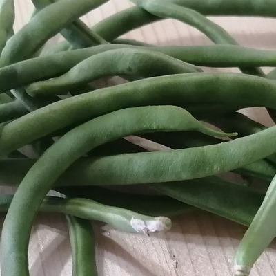 tackle77792687's profile picture. 既婚
男
裏垢
いつでもオッケー