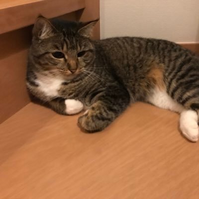 りゅうのすけ ラブライブは1人オーディション勝ち抜くの大変そう まあasayanの最終選考に残ったけど落ちたexile のatsushiみたいに他でグループやって成功したみたいにオーディション落ちた組でなんかしても面白そう 他人事