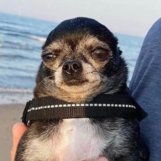 Io sono anche quello che non sono.