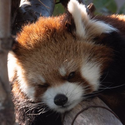 kitanobijiness's profile picture. アフィリエイト、アドセンスなどやります