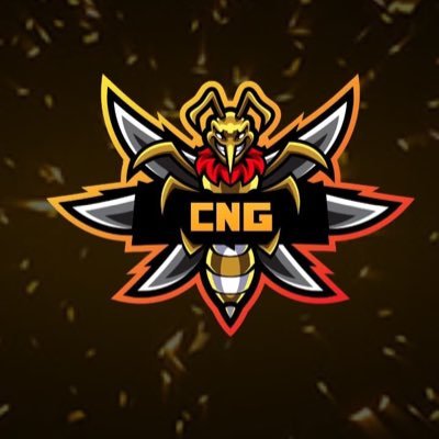 welcome to the official twitter of Cicada Network. we are semi comp players sponsored by @RogueGrips @TheRogueEnergy @X2GAMINGSTORE @StrikeForceE