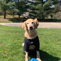 Zack Kaminski (@bigz178) 's Twitter Profile Photo