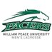 WPU Men's Lacrosse (@gopeacemlax) Twitter profile photo WPU Men's Lacrosse (@gopeacemlax) Twitter profile photo