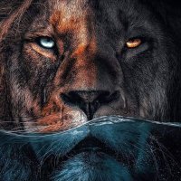 Mohammad (@mohammad899998) 's Twitter Profile