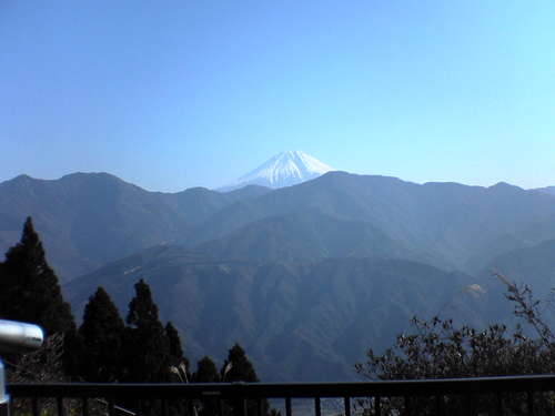 今年は25年続けた畑も辞めて、海•山遊びに精力を注ごうと思っています。なのに…コロナが憎い‼️