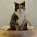 CatwomanNorth (@catwomannorth) Twitter profile photo CatwomanNorth (@catwomannorth) Twitter profile photo