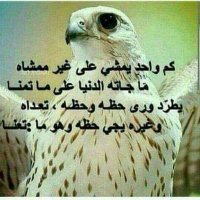 سلطان زمانه (@havegn) 's Twitter Profile Photo