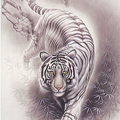 白い虎 Baltastigras Twitter 白い虎 Baltastigras Twitter