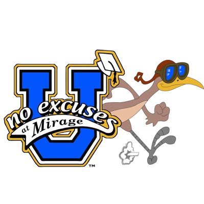 We are the Parent Teacher Student Association for Mirage Elementary School in the Deer Valley Unified School District in Glendale, AZ.