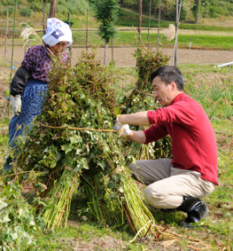 蕎麦好きです。あなの住んでる町の話、聞かせてください。