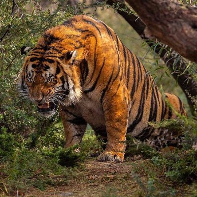 prasanth_reddy3's profile picture. employee, interested in fitness💪 and nutrition🥑🍉🥕