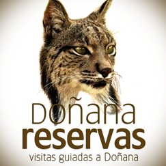 Visitas y excursiones guiadas al interior del Parque Nacional y Natural de Doñana en vehículos todo-terreno.