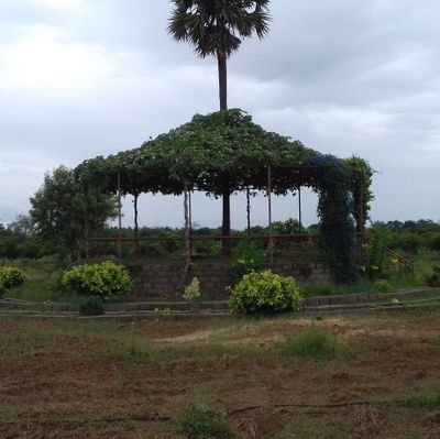 @its_me_srvs