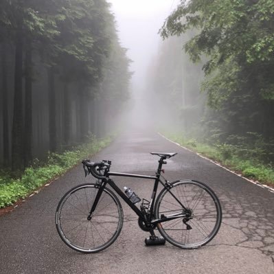 TNicefield's profile picture. 掘り下げることが好きな変わり者。